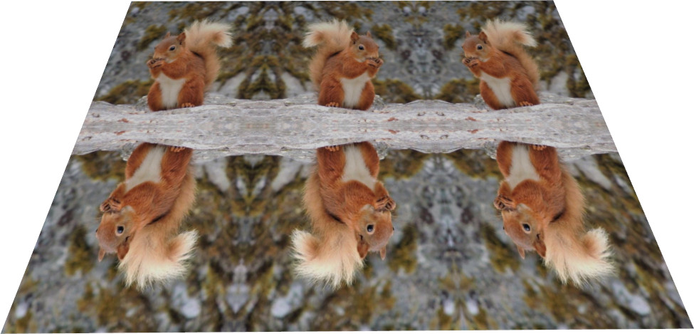assets/texture_repeat_mirror.jpg